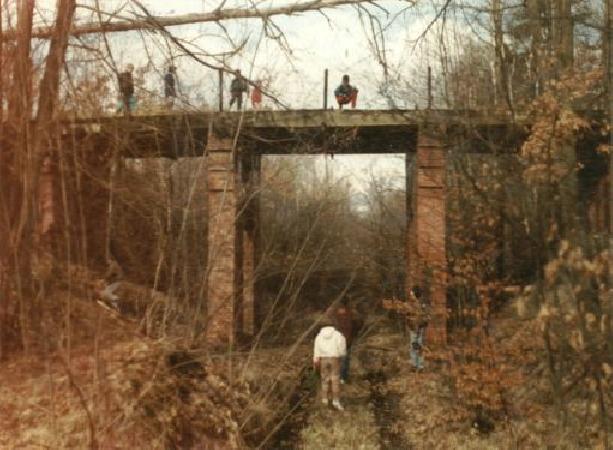 Wiadukt nad torami w lesie nieopodal przystanku Dbiczka. Widok wspoczesny (1994 r.)
