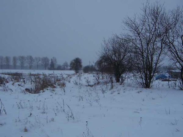 Witkw w scenerii zimowej - jeszcze jeden widok na starotorze w kierunku Szprotawy. Stan 15 II 2009, fot. LAX.W.Stopka, ze strony www.kolej.one.pl
