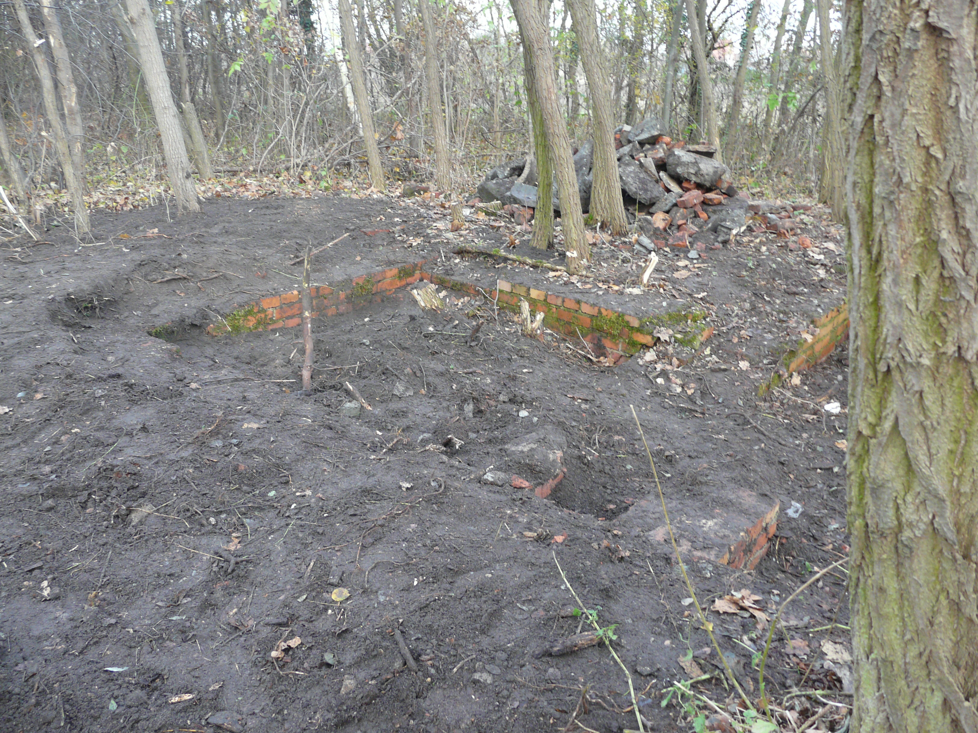 Odkryte fundamenty obiektu na stacji w Broniszowie, cz pnocna. Bya to prawdopodobnie dwuczciowa wiata z wag towarow. Stan listopad 2009 r.